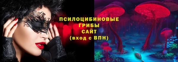 дурь Пестово