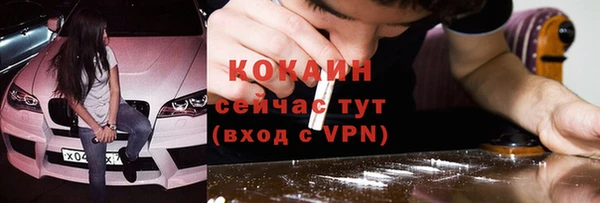 дживик Осинники