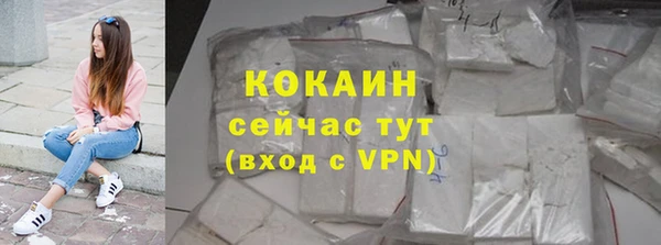 дживик Осинники