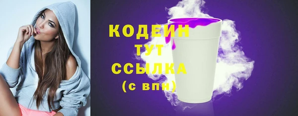 дурь Пестово