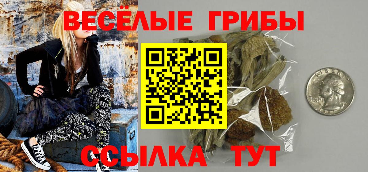 Галлюциногенные грибы Cubensis  Вход с VPN  Асбест 