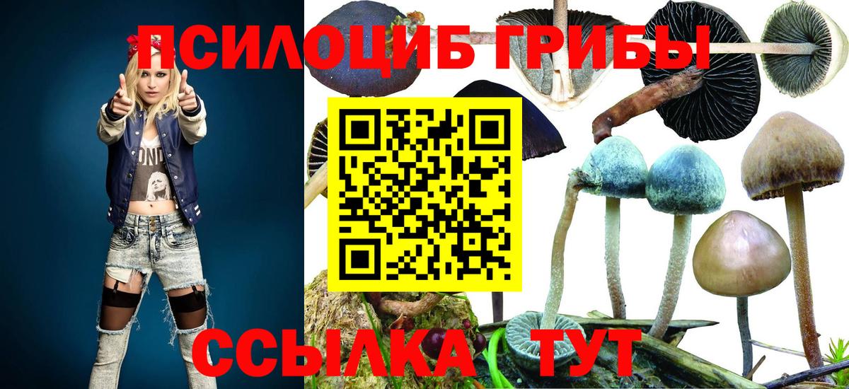 Псилоцибиновые грибы MAGIC MUSHROOMS Асбест